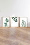 Wallity Huhu193 Pintura Decorativa en MDF con Marco (3 Piezas) 50 x 70 cm